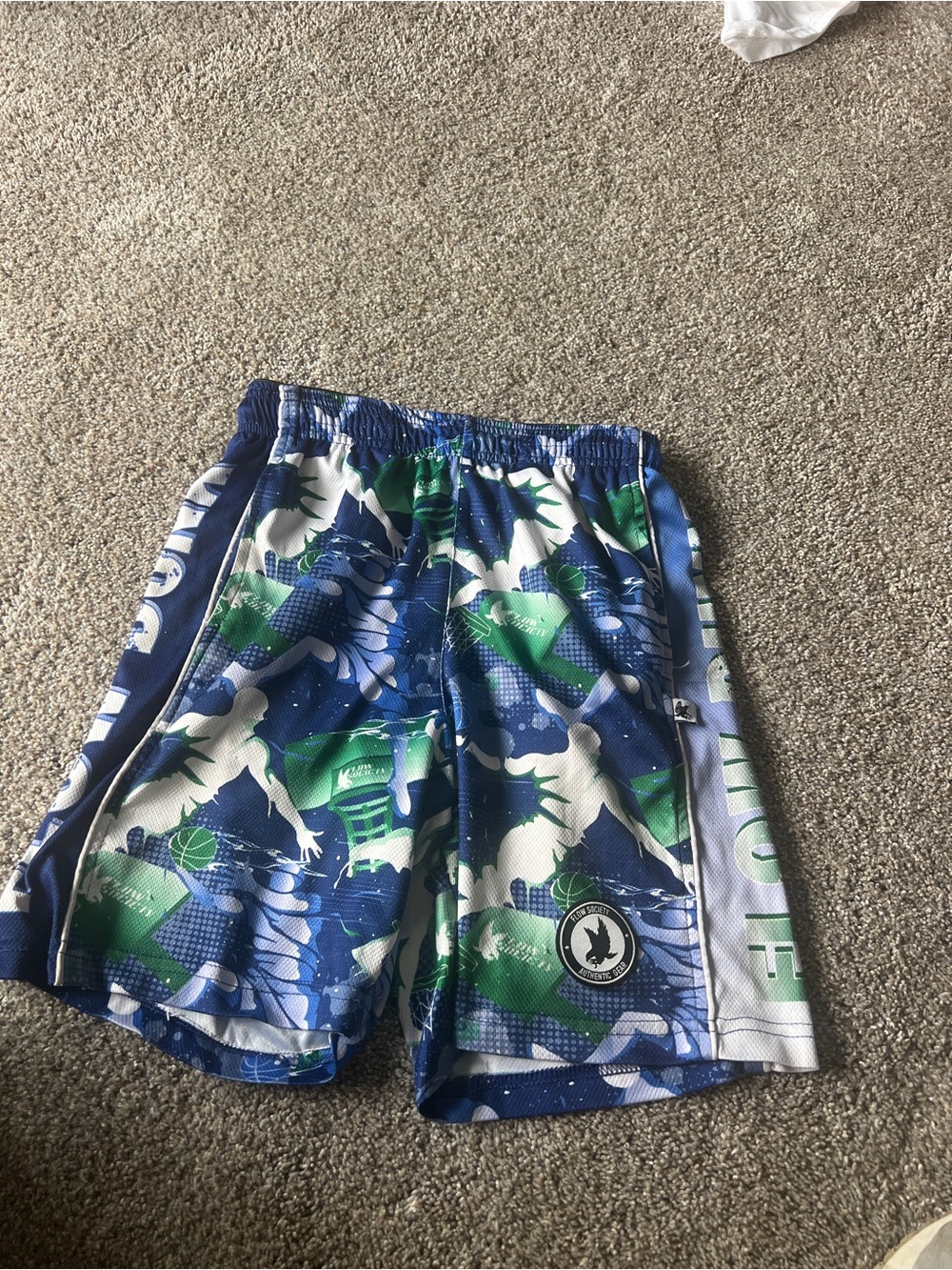 Flow Society Blue & Green Boys' Athletic Shorts with Graphic Print